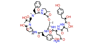 Aeruginopeptin 95A